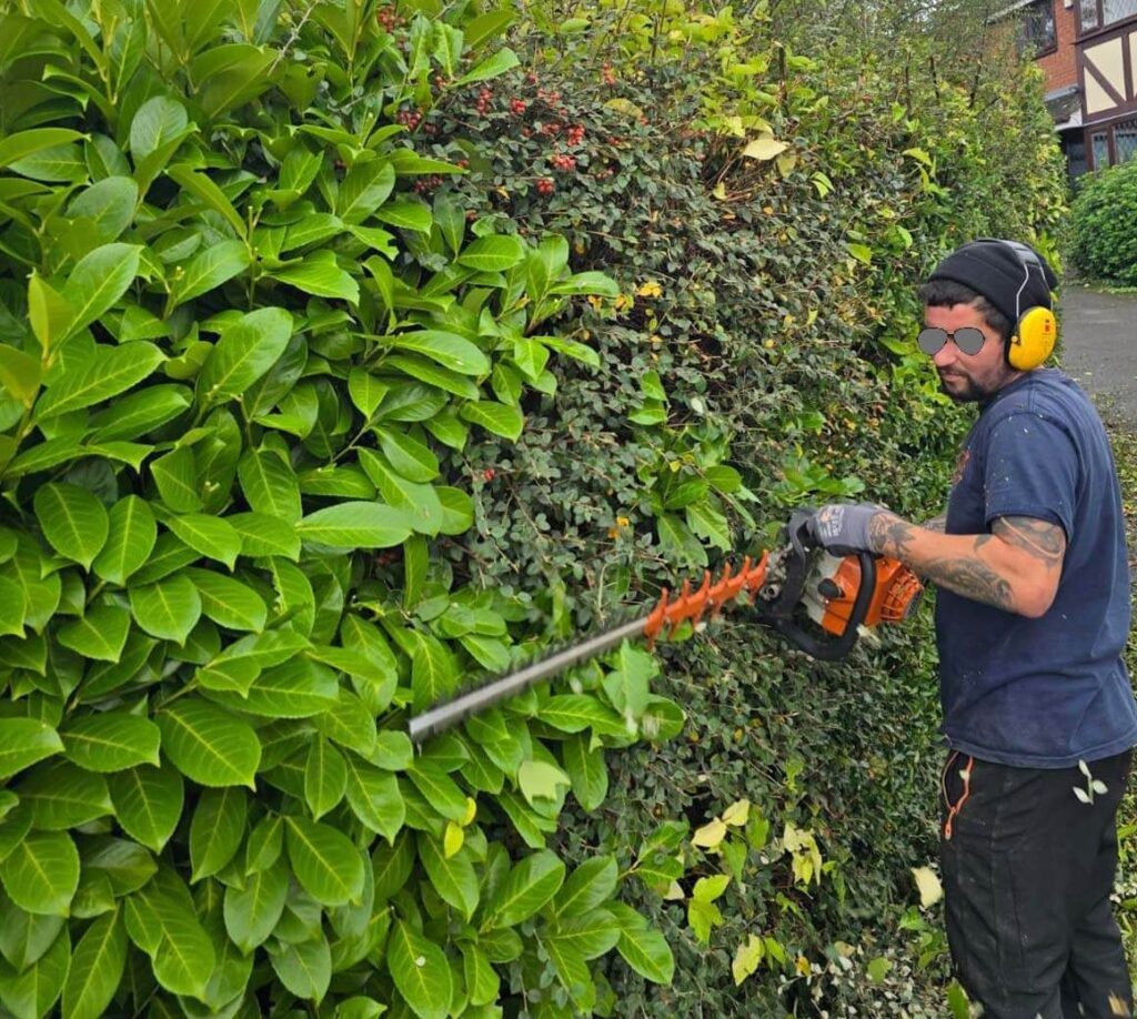 Carl Hedge Trimmer Calder Tree Services