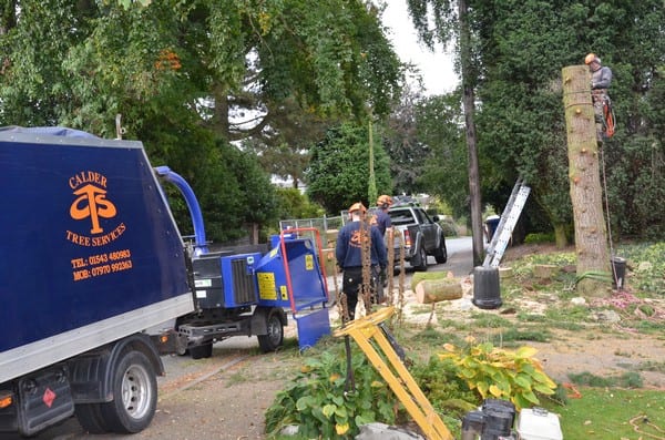 Tree Surgeon Lichfield
