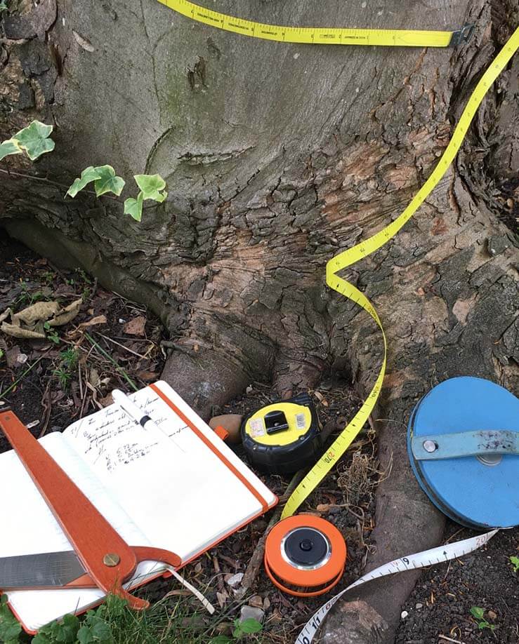 Tree survey cannock staffordshire