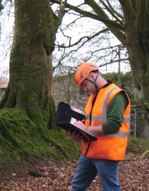 arboricultural reports lichfield walsall