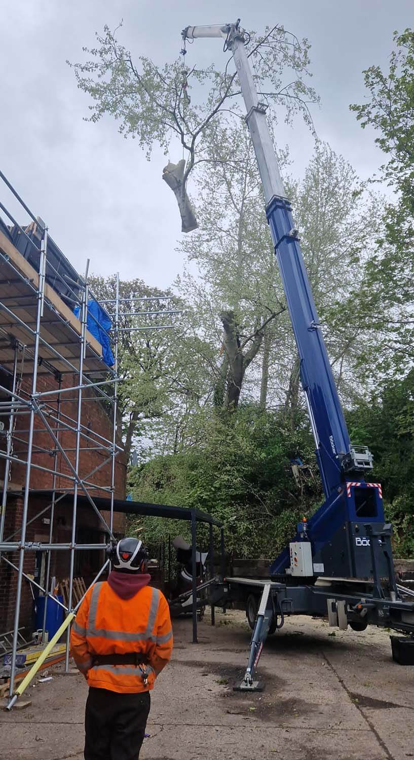commercial tree work services walsall