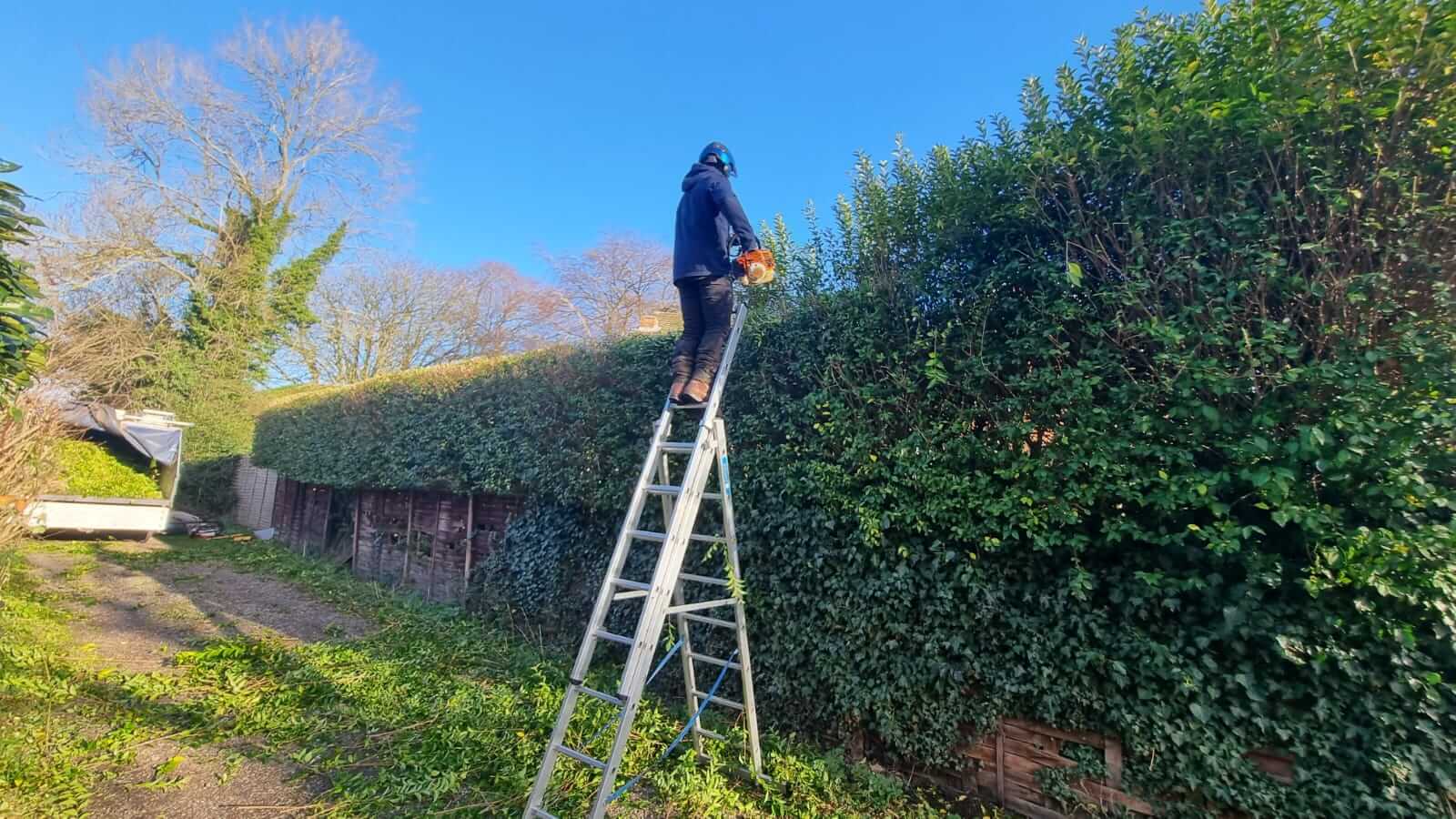 hedge trimming and maintenance West Midlands Staffordshire Lichfield and Walsall