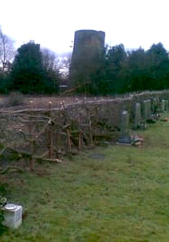 hedgelaying lichfield