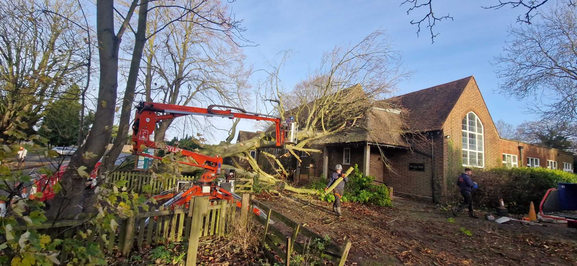 emergency tree work - storm damage staffordshire