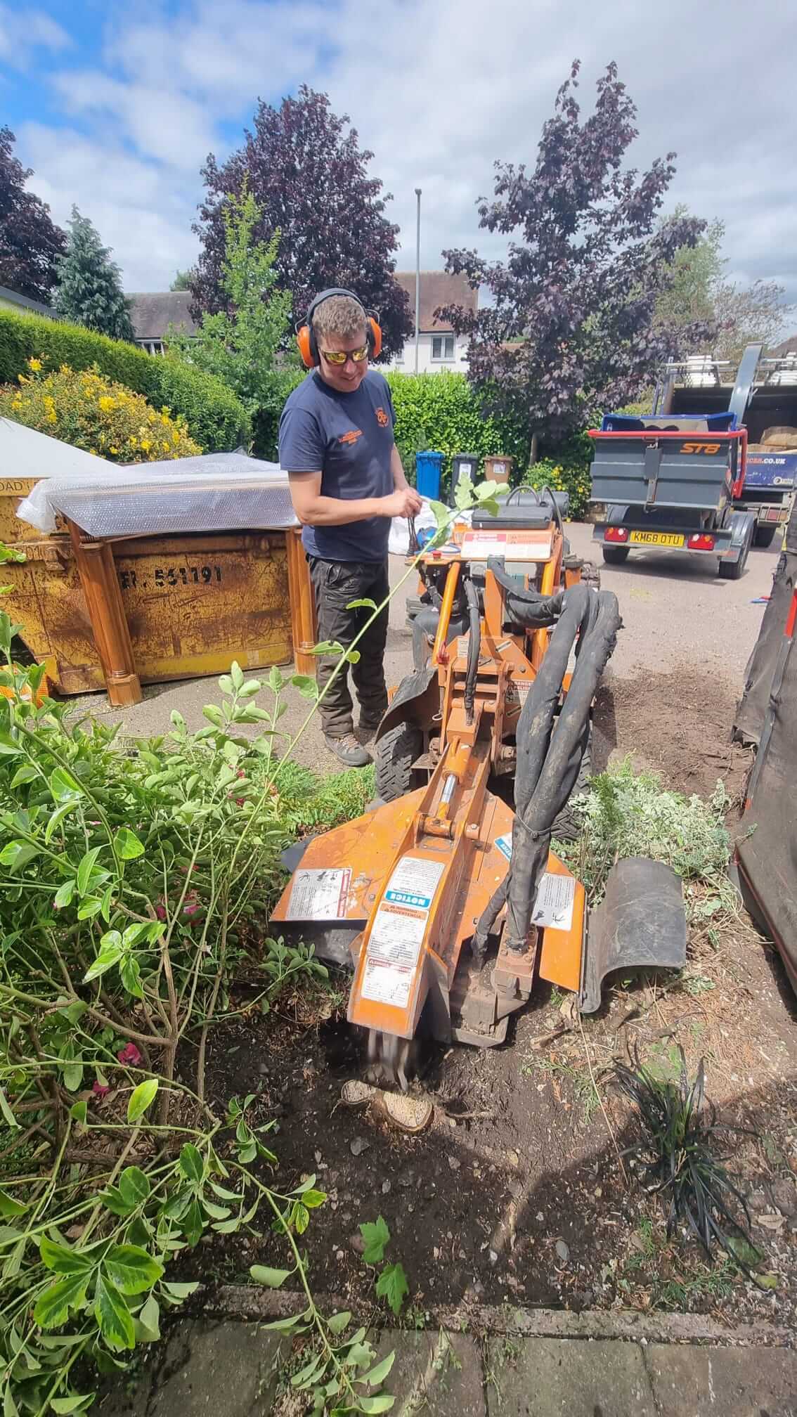 tree stump removal lichfield, walsall, birmingham