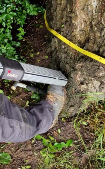 Arboricultural development reports walsall west midlands