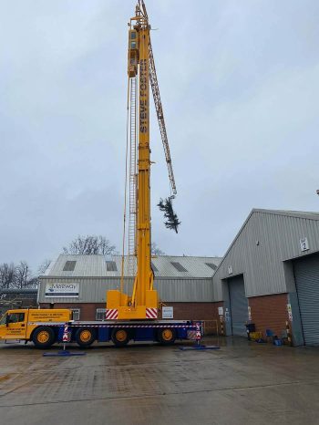 Commercial tree work services Commercial tree work services