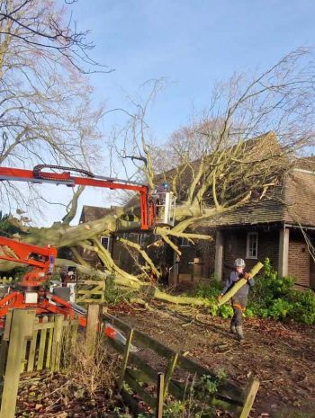 storm damage emergency tree work