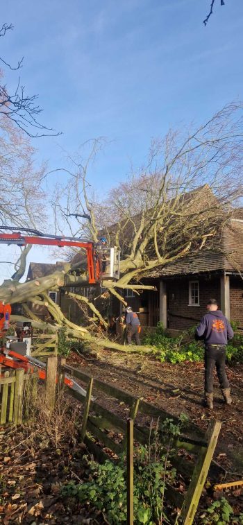 storm damage emergency tree work west midlands
